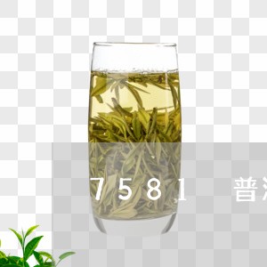 7581 普洱茶/2023031714157